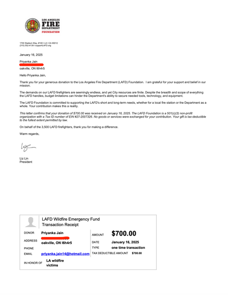 LA wildfires Fundraiser: You got this Beanie die cuts